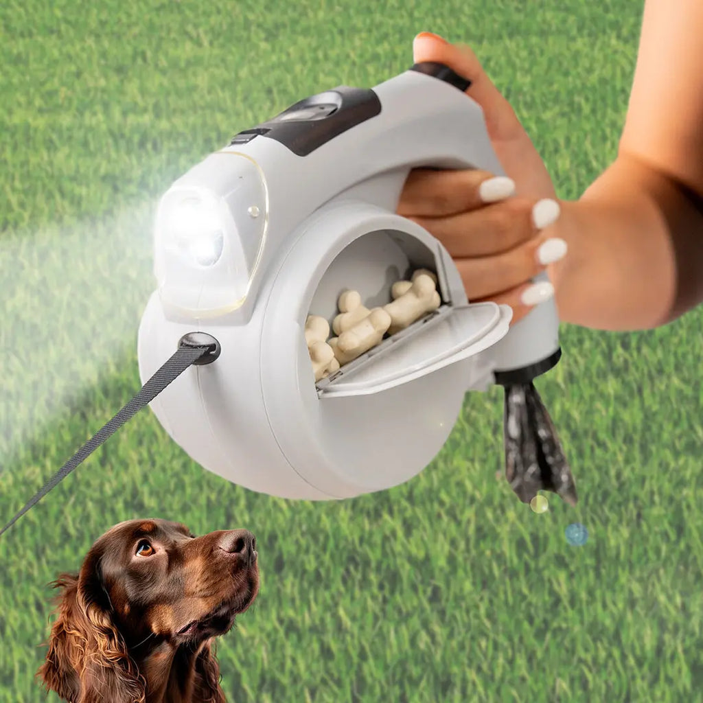 Correa Retráctil para Perros 6 en 1 con Accesorios Integrados Leashic InnovaGoods